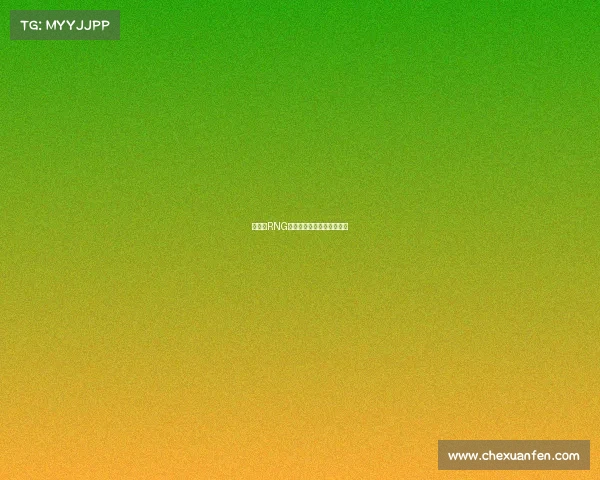 五棵松RNG：荣耀征途，竞逐巅峰之魂