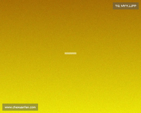 合肥新华电脑学院简介